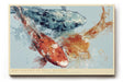 Paul Sinus Wandbild 120x80cm Koi Ascent in Pale Waters Japanische Koi Fische Abstrakte Wasser Kunst fuer Wohnzimmer Schlafzimmer und Büro