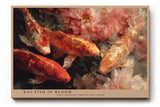 Paul Sinus Wandbild 120x80cm Koi Fische mit Blumen Japanische Naturkunst in Rot Gold Wanddekoration Wohnzimmer