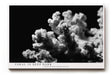 Paul Sinus Wandbild 120x80cm Koralle schwarz weiß Fotokunst Meeresmotiv minimalistische Unterwasser Natur Kunst modernes Wandbild 120x80cm stilvolle