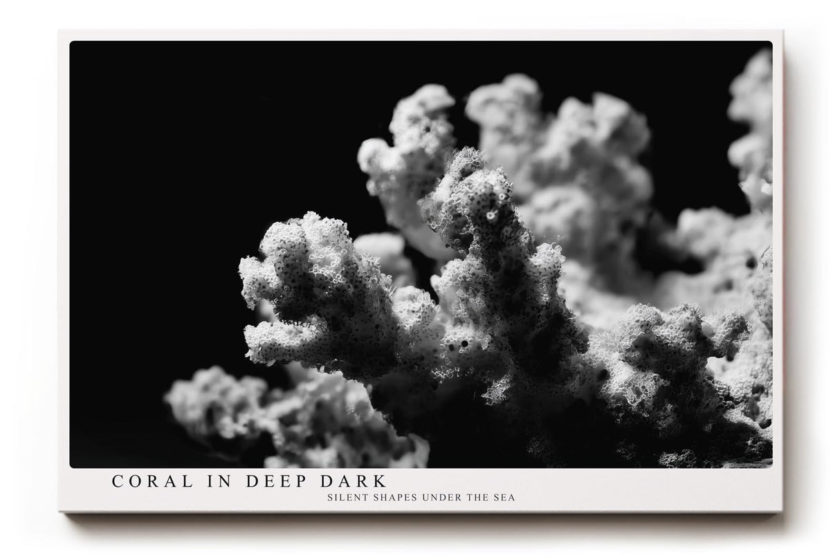 Paul Sinus Wandbild 120x80cm Koralle schwarz weiß Fotokunst Meeresmotiv minimalistische Unterwasser Natur Kunst modernes Wandbild 120x80cm stilvolle