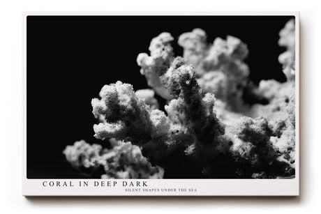 Paul Sinus Wandbild 120x80cm Koralle schwarz weiß Fotokunst Meeresmotiv minimalistische Unterwasser Natur Kunst modernes Wandbild 120x80cm stilvolle