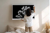 Paul Sinus Wandbild 120x80cm Koralle schwarz weiß Fotokunst Meeresmotiv minimalistische Unterwasser Natur Kunst modernes Wandbild 120x80cm stilvolle