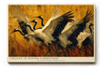 Paul Sinus Wandbild 120x80cm Kraniche Flug Natur Kunstmotiv Elegante Voegel in Bewegung mit warmen Farben