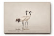 Paul Sinus Wandbild 120x80cm Kraniche Paar Natur Fotokunst elegante Vögel im Wasser ruhiges Tiermotiv modernes Naturbild für Wohnzimmer Büro