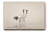 Paul Sinus Wandbild 120x80cm Kraniche Paar Natur Fotokunst elegante Vögel im Wasser ruhiges Tiermotiv modernes Naturbild für Wohnzimmer Büro