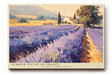 Paul Sinus Wandbild 120x80cm Lavendelfelder Provence Landschaft Kunst in Violett und Gold für Wohnzimmer Schlafzimmer Büro