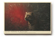 Paul Sinus Wandbild 120x80cm Leopard im roten Licht moderne Tierfotografie dramatisches Wildlife Kunstposter stilvolle