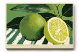 Paul Sinus Wandbild 120x80cm Limette Zitrusfrucht Stillleben grüne Küche Kunst moderne Food Illustration frische Zitrus Dekoration für Küche Esszimmer Café Restaurant