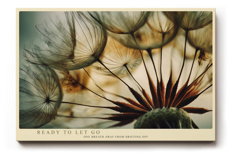 Paul Sinus Wandbild 120x80cm Loewenzahn Makrofotografie Samen Natur Kunstmotiv mit sanften Farben stilvolle Wanddekoration fuer Wohnzimmer Flur