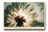 Paul Sinus Wandbild 120x80cm Loewenzahn Samen Makro Naturfotografie modern gruen gold Kunstdruck grosses Natur Kunstbild elegante Wanddekoration fuer Wohnzimmer Büro