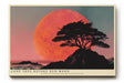 Paul Sinus Wandbild 120x80cm Lone Tree before Red Moon dramatische Landschaft mit Baum und rotem Mond Kunst Poster für Wohnzimmer Büro