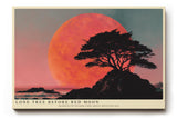 Paul Sinus Wandbild 120x80cm Lone Tree before Red Moon dramatische Landschaft mit Baum und rotem Mond Kunst Poster für Wohnzimmer Büro