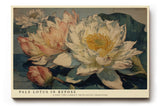 Paul Sinus Wandbild 120x80cm Lotusblumen Kunst Klassisches Blumenmotiv in sanften Naturfarben fuer Wohnzimmer Schlafzimmer und Spa Bereiche