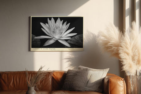 Paul Sinus Wandbild 120x80cm Lotusblüte schwarz weiß Fotokunst minimalistische Blume elegantes Naturmotiv stilvolle Wanddekoration für Wohnzimmer Schlafzimmer Spa Büro