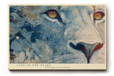 Paul Sinus Wandbild 120x80cm Löwe Sternenblüten Kunst LeinWandbild 120x80cm Mystisches Tierportrait Wanddekoration