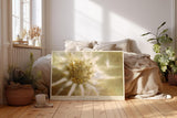 Paul Sinus Wandbild 120x80cm Makro Bluete abstrakt beige gold moderne Naturkunst Kunstdruck grosses Kunstbild elegante Wanddekoration fuer Wohnzimmer Büro