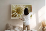 Paul Sinus Wandbild 120x80cm Makro Bluete abstrakt beige gold moderne Naturkunst Kunstdruck grosses Kunstbild elegante Wanddekoration fuer Wohnzimmer Büro