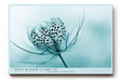 Paul Sinus Wandbild 120x80cm Makro Blume zarte Naturstruktur blau türkis minimalistische Naturfotografie ruhige botanische Kunst moderne