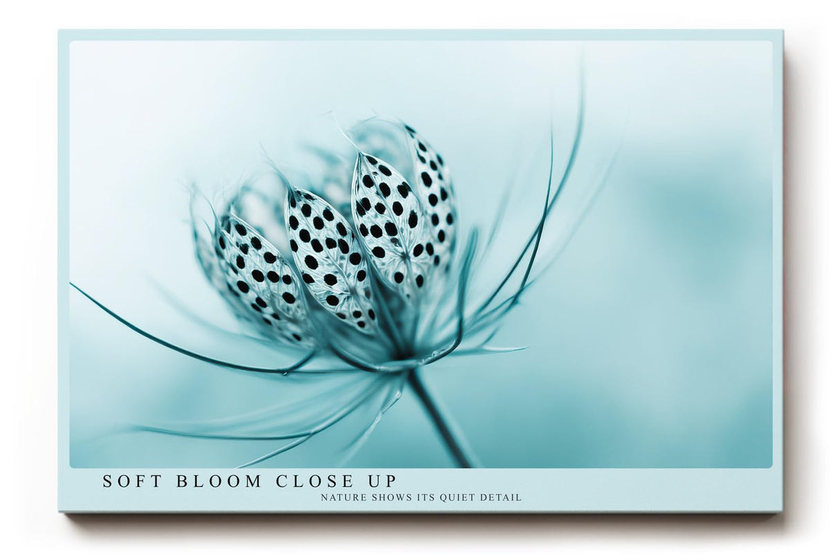 Paul Sinus Wandbild 120x80cm Makro Blume zarte Naturstruktur blau türkis minimalistische Naturfotografie ruhige botanische Kunst moderne