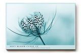 Paul Sinus Wandbild 120x80cm Makro Blume zarte Naturstruktur blau türkis minimalistische Naturfotografie ruhige botanische Kunst moderne
