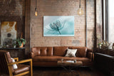 Paul Sinus Wandbild 120x80cm Makro Blume zarte Naturstruktur blau türkis minimalistische Naturfotografie ruhige botanische Kunst moderne
