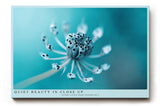 Paul Sinus Wandbild 120x80cm Makrofotografie Pflanze türkis minimalistische Naturfotografie ruhige Farben botanisches Kunstbild moderne