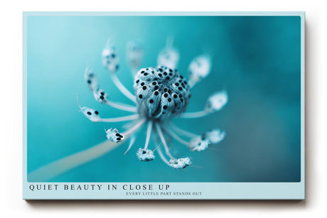 Paul Sinus Wandbild 120x80cm Makrofotografie Pflanze türkis minimalistische Naturfotografie ruhige Farben botanisches Kunstbild moderne