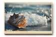 Paul Sinus Wandbild 120x80cm Margin of Sea and Sand Muschel im Meerschaum Strand Natur Kunst fuer Wohnzimmer Schlafzimmer Bad und Büro