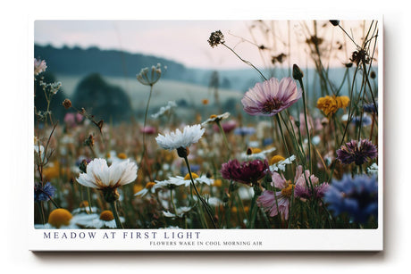 Paul Sinus Wandbild 120x80cm Meadow at First Light Blumenwiese im Morgenlicht Natur Fotokunst fuer Wohnzimmer Schlafzimmer und Büro