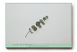 Paul Sinus Wandbild 120x80cm minimalistische Eukalyptus Pflanze moderne botanische Naturkunst dezente gruene Wanddekoration fuer Wohnzimmer Büro