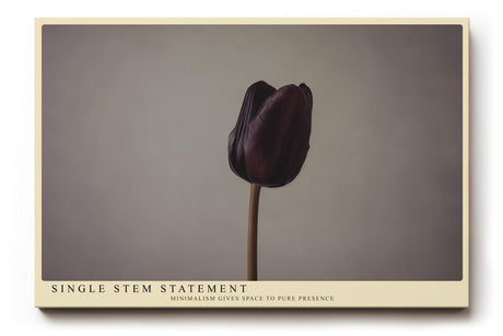 Paul Sinus Wandbild 120x80cm minimalistische Tulpe dunkle Blume auf hellem Hintergrund moderne Fotokunst ruhige Natur Wanddekoration fuer Wohnzimmer Büro