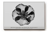 Paul Sinus Wandbild Monochrome Bloom of Elegance – Minimalistische Blütendarstellung in Schwarzweiß – Zeitloses Wandbild mit klarer Form und ruhiger Ästhetik.