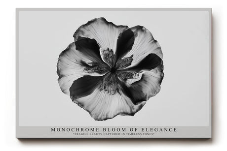 Paul Sinus Wandbild Monochrome Bloom of Elegance – Minimalistische Blütendarstellung in Schwarzweiß – Zeitloses Wandbild mit klarer Form und ruhiger Ästhetik.
