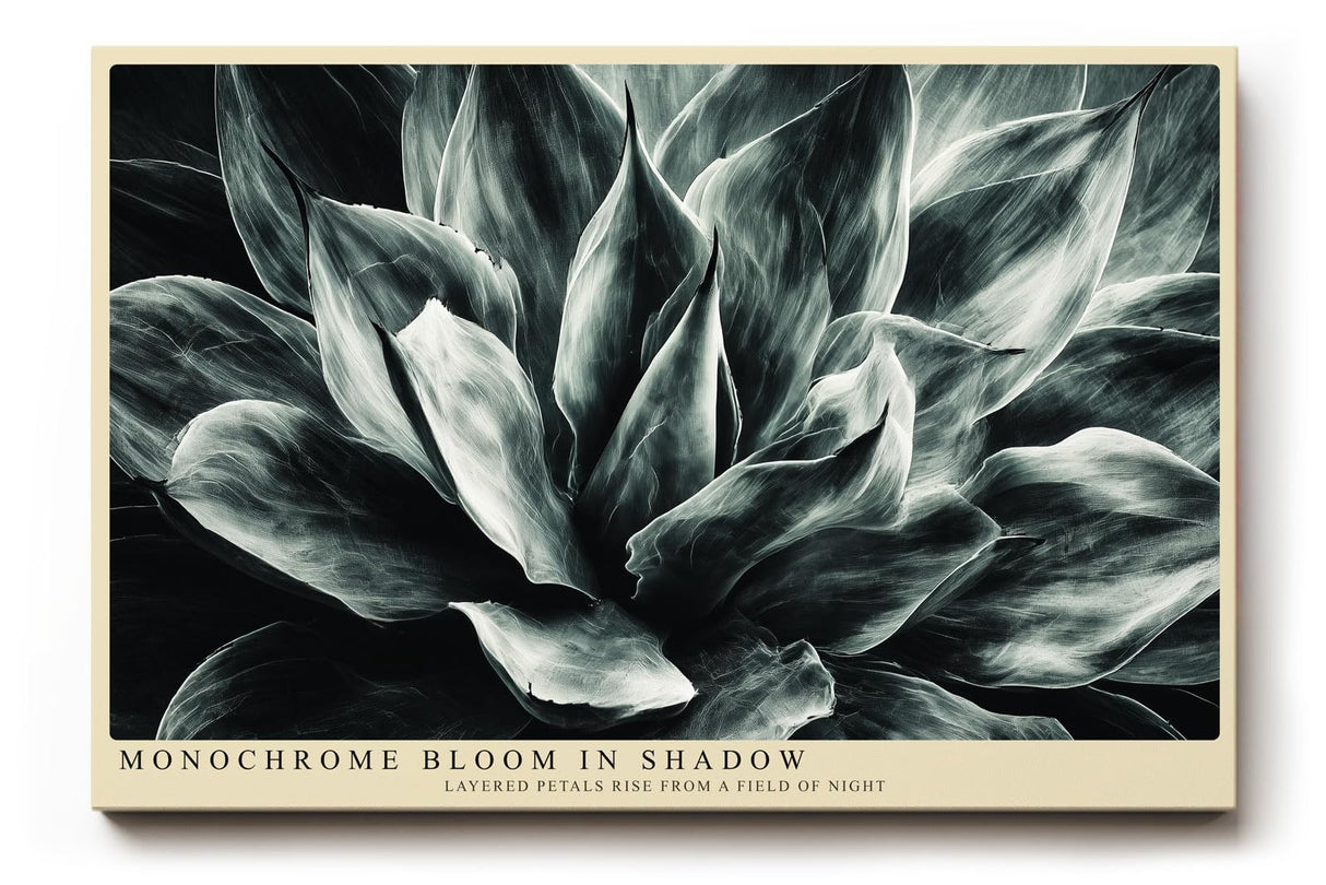 Paul Sinus Wandbild 120x80cm Monochrome Blume botanische Kunst Schwarz Weiss moderne Pflanzen Wanddekoration Wohnzimmer Schlafzimmer