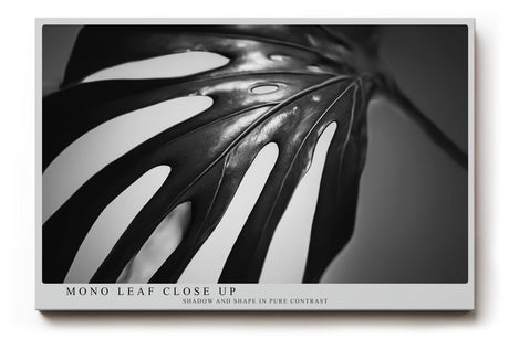 Paul Sinus Wandbild 120x80cm Monstera Blatt schwarz weiß Makro Pflanzenstruktur minimalistische Naturfotografie moderne botanische