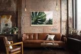 Paul Sinus Wandbild 120x80cm Monstera in Morning Light Tropische Pflanzen Kunst mit Monstera Blatt Moderne Natur Wanddekoration