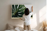 Paul Sinus Wandbild 120x80cm Monstera in Morning Light Tropische Pflanzen Kunst mit Monstera Blatt Moderne Natur Wanddekoration