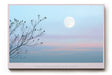 Paul Sinus Wandbild Moonlight Above the Quiet Land – Poetische Abendstimmung mit Vollmond über stiller Landschaft und zarten Zweigen, Symbol für Ruhe und Balance