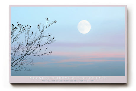 Paul Sinus Wandbild Moonlight Above the Quiet Land – Poetische Abendstimmung mit Vollmond über stiller Landschaft und zarten Zweigen, Symbol für Ruhe und Balance