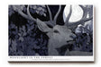 Paul Sinus Wandbild Moonlight in the Forest Mystisches Waldbild mit einem edlen Hirsch im Schein des Mondes, umgeben von dunklen Blättern und tiefem Blau.
