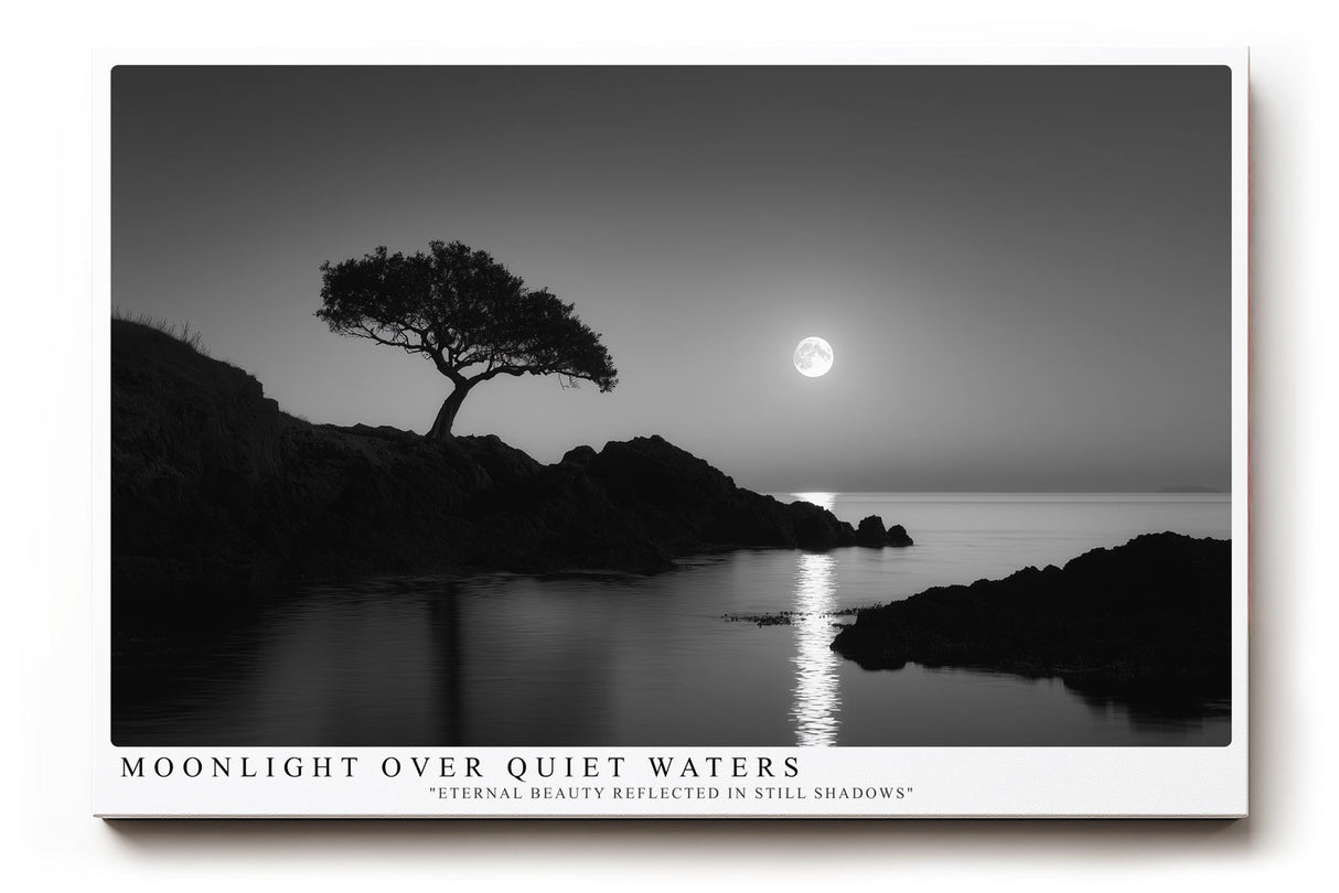 Paul Sinus Wandbild Moonlight over Quiet Waters poetische Schwarz Weiß Landschaft mit ruhigem See und sanftem Mondlicht
