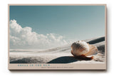 Paul Sinus Wandbild 120x80cm Muschel Strand Landschaft minimalistische Naturfotografie Meer Sand moderne Wanddekoration fuer Wohnzimmer Büro