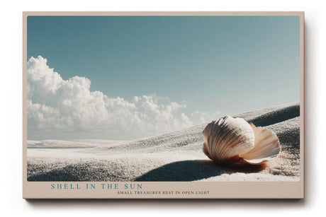 Paul Sinus Wandbild 120x80cm Muschel Strand Landschaft minimalistische Naturfotografie Meer Sand moderne Wanddekoration fuer Wohnzimmer Büro