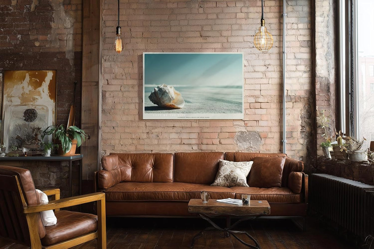 Paul Sinus Wandbild 120x80cm Muschel Strand minimalistische Naturfotografie ruhiges Meeresmotiv stilvolle Wanddekoration fuer Wohnzimmer Büro