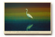 Paul Sinus Wandbild Nature and the Inner Soul – Der weiße Reiher in stiller Landschaft