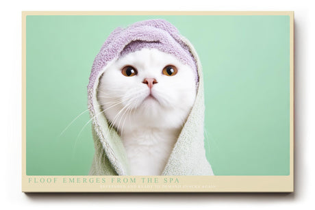 Paul Sinus Wandbild 120x80cm Niedliche weisse Katze mit Handtuch Kapuze charmantes Tierportraet
