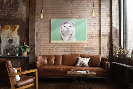 Paul Sinus Wandbild 120x80cm Niedliche weisse Katze mit Handtuch Kapuze charmantes Tierportraet