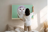 Paul Sinus Wandbild 120x80cm Niedliche weisse Katze mit Handtuch Kapuze charmantes Tierportraet