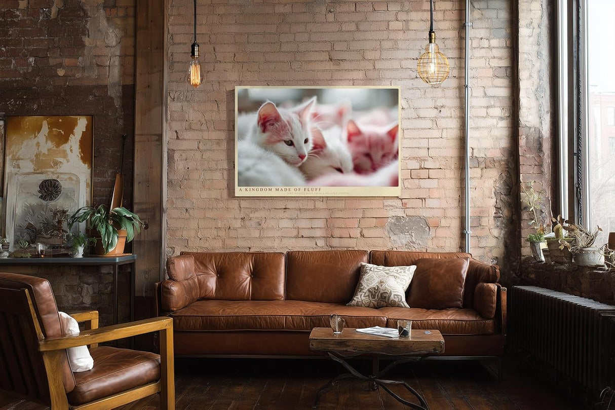 Paul Sinus Wandbild 120x80cm Niedliche weisse Katzen im weichen Licht liebevolles Tiermotiv