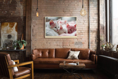 Paul Sinus Wandbild 120x80cm Niedliche weisse Katzen im weichen Licht liebevolles Tiermotiv